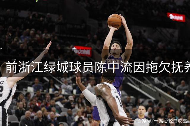 前浙江绿城球员陈中流因拖欠抚养费被法院列为失信人